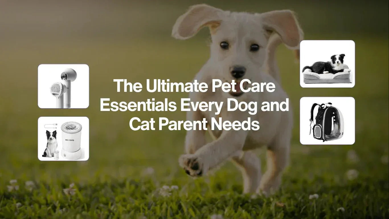 The Ultimate Pet Care Essentials Every Dog and Cat Parent Needs