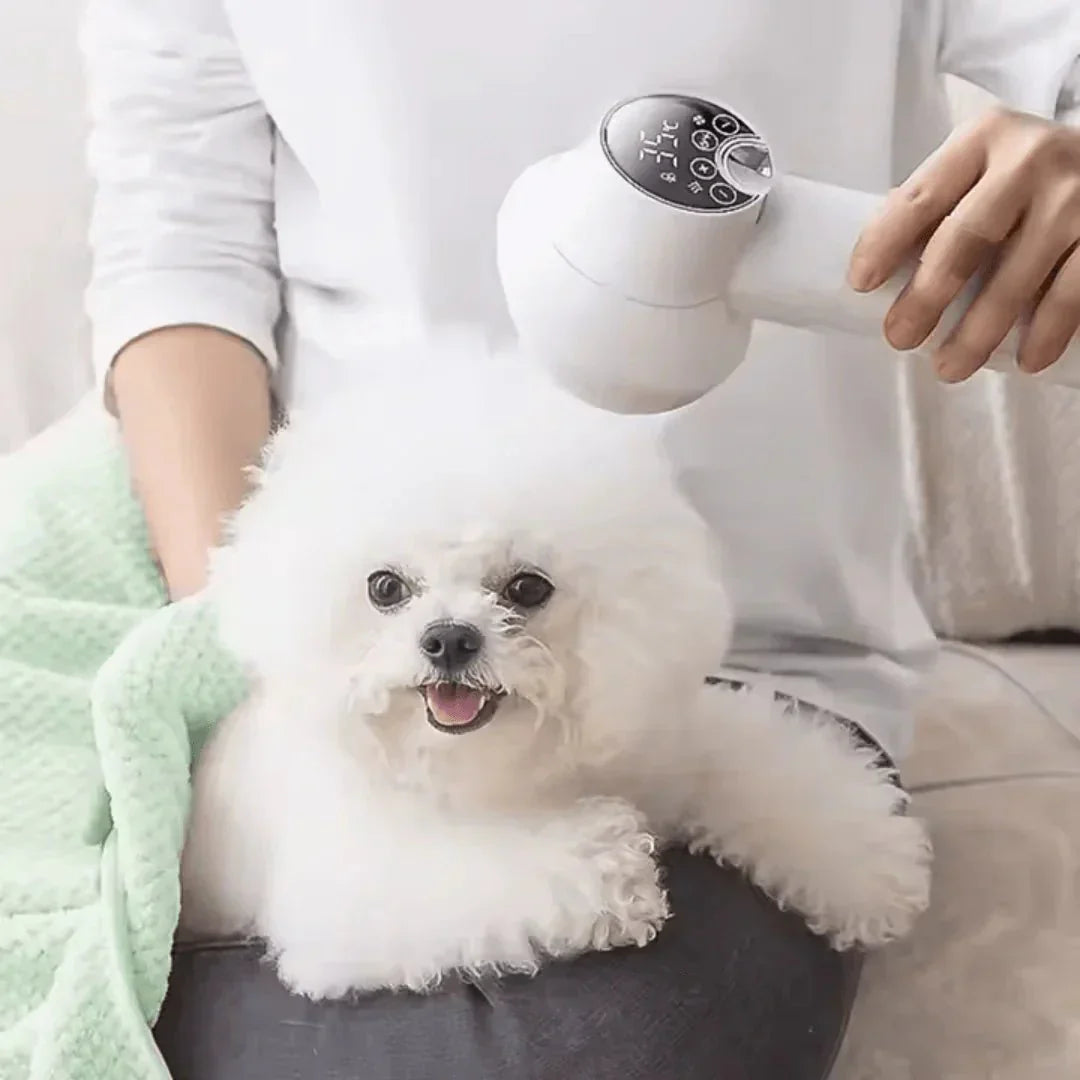Pet Grooming Accessories