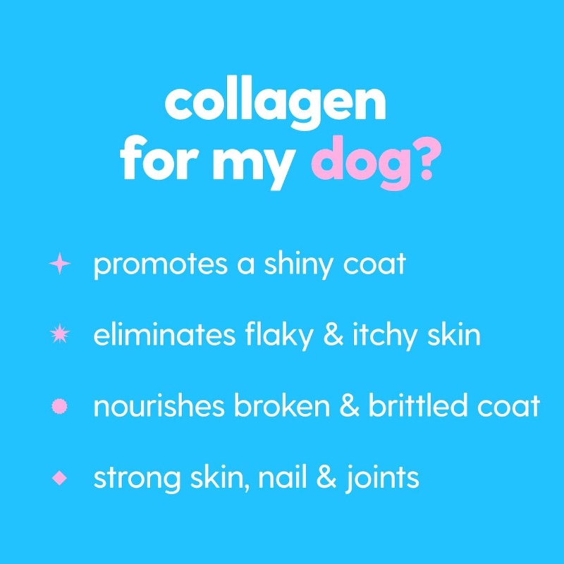 Pet Collagen Powder Supplement