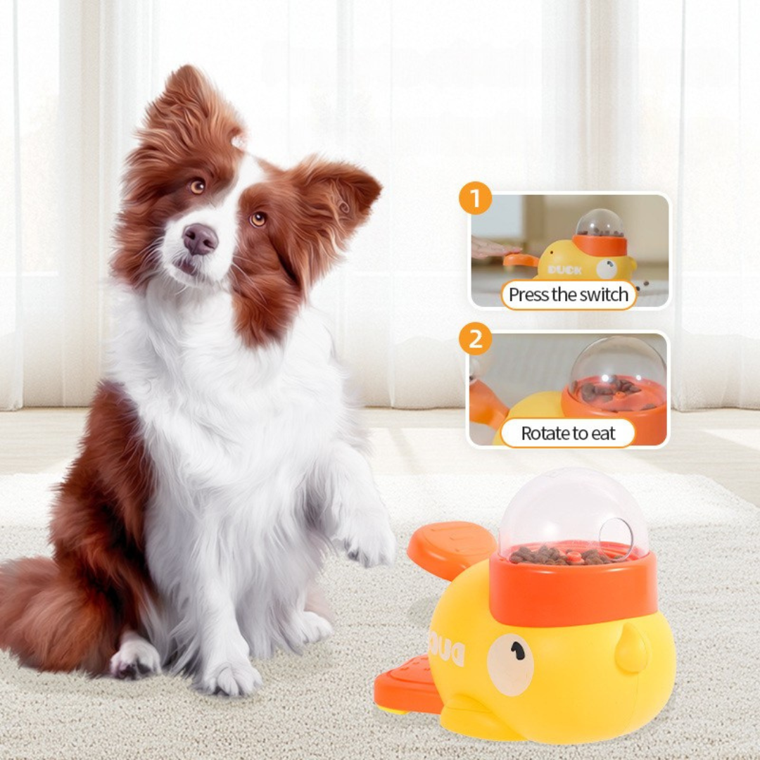 Interactive self-feeding dispenser for dogs – Bowls & Feeders
