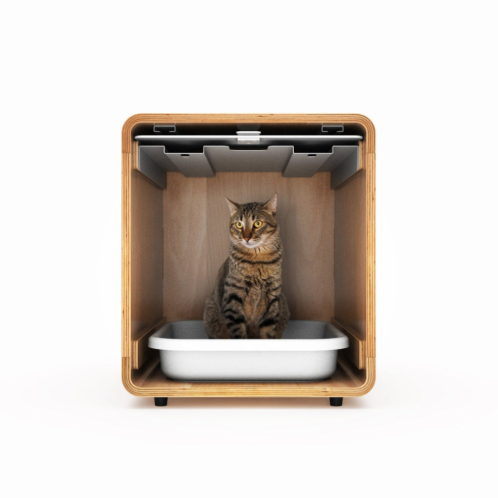 Cat Litter Box