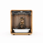 Cat Litter Box