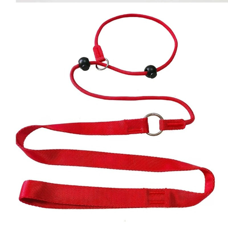 2-in-1 Slip-Lead Dog Leash – Training Collar & Walking Lead with