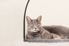 tuft + paw Cloud Nine Window Hammock – Cat Bed