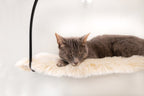 tuft + paw Cloud Nine Window Hammock – Cat Bed
