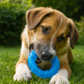 Cooling chew toy for dogs – Bowls & Feeders
