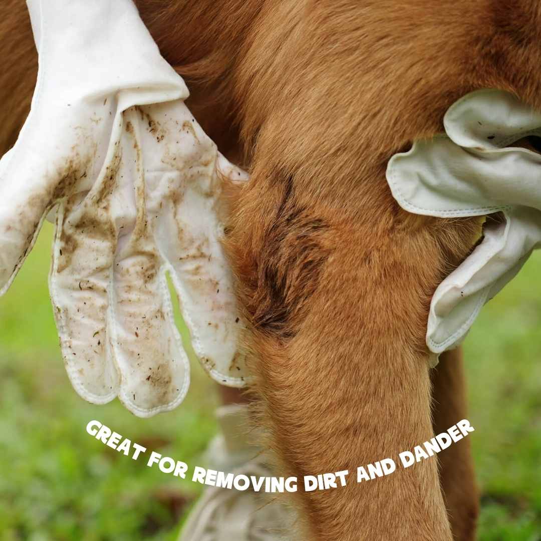 Glove cleaning wipes for pets – Care & More