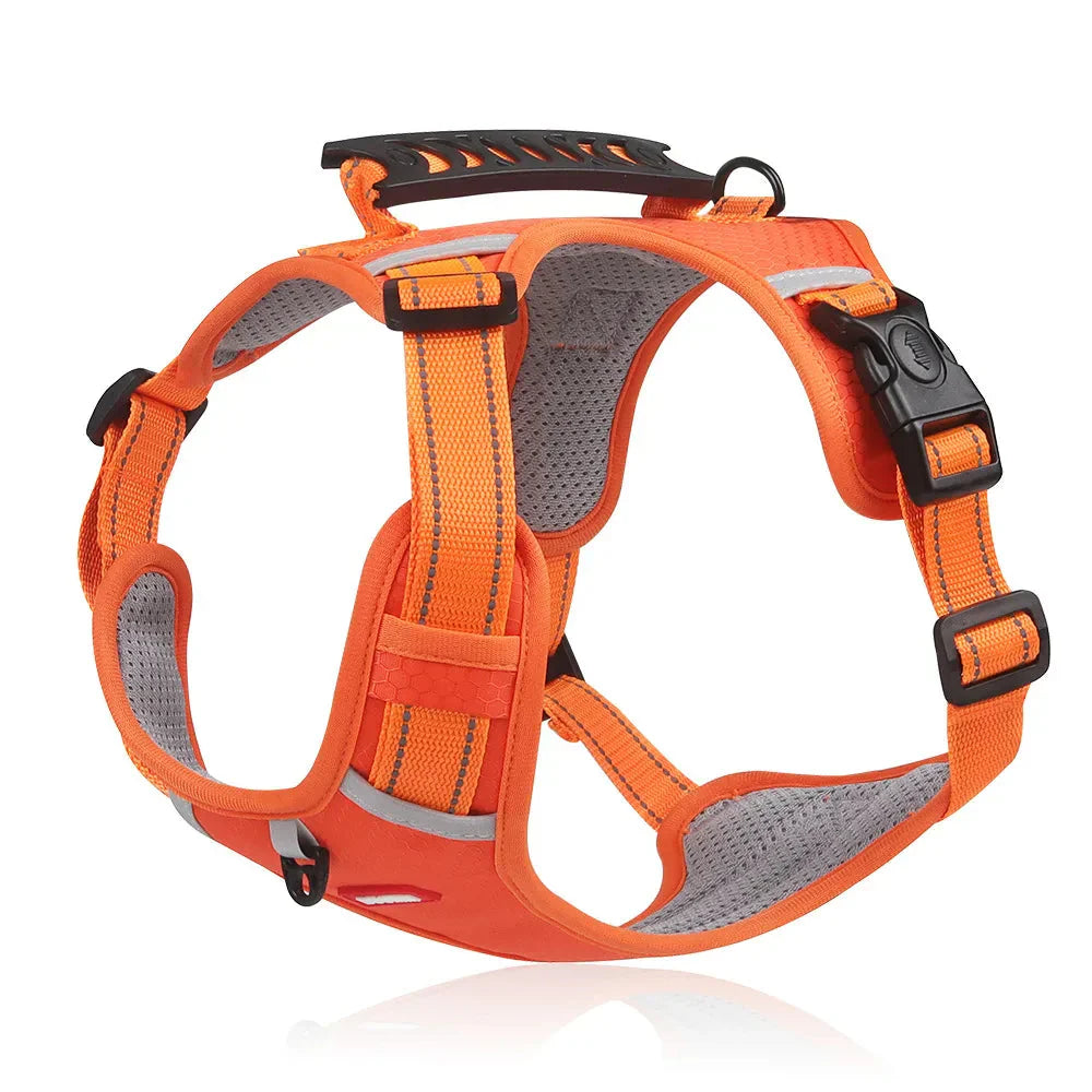 NoPull Dog Harness – WalkEase – Leashes & Harnesses