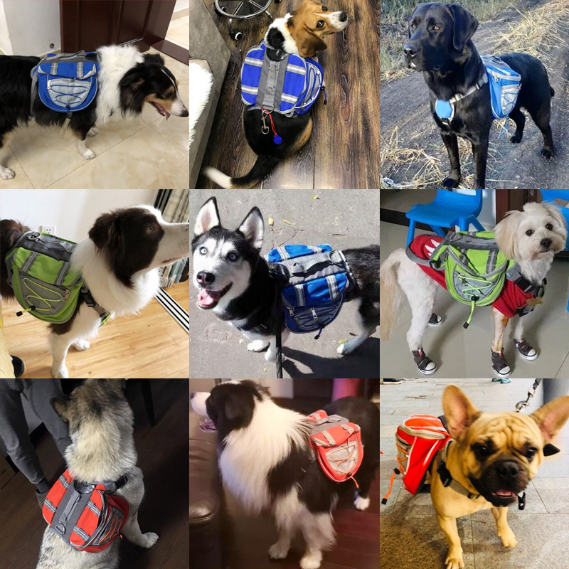 Pet Backpack Carrier – Care & More