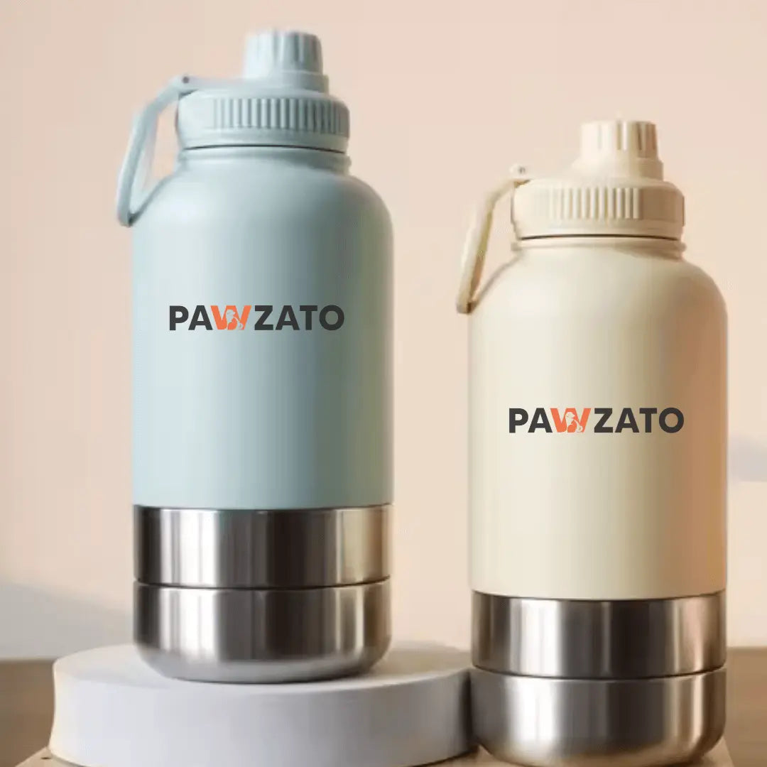 3-in-1 Stainless Steel Pet Bottle