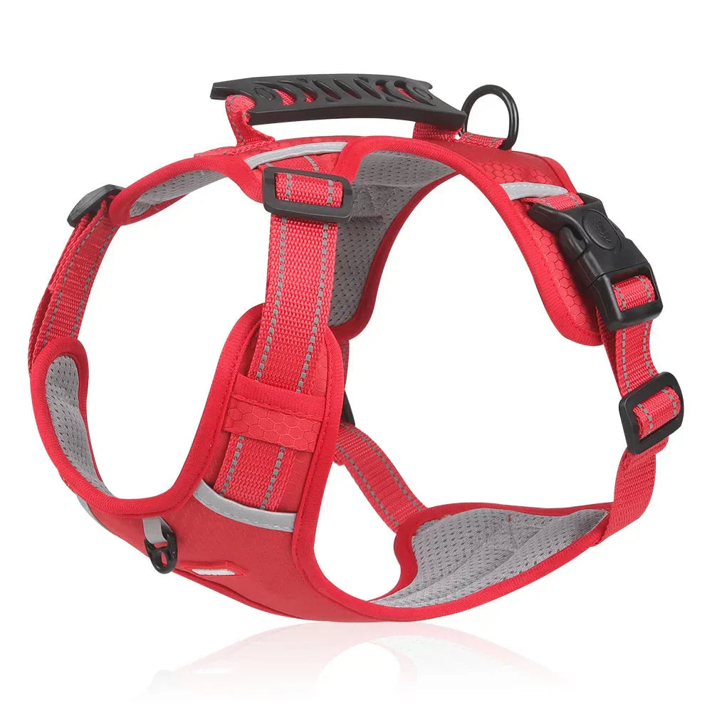 NoPull Dog Harness – WalkEase – Leashes & Harnesses