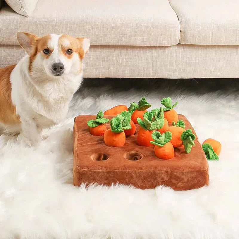Interactive Sniffing Toy – Carrot Sniffing Garden – Dog Toys