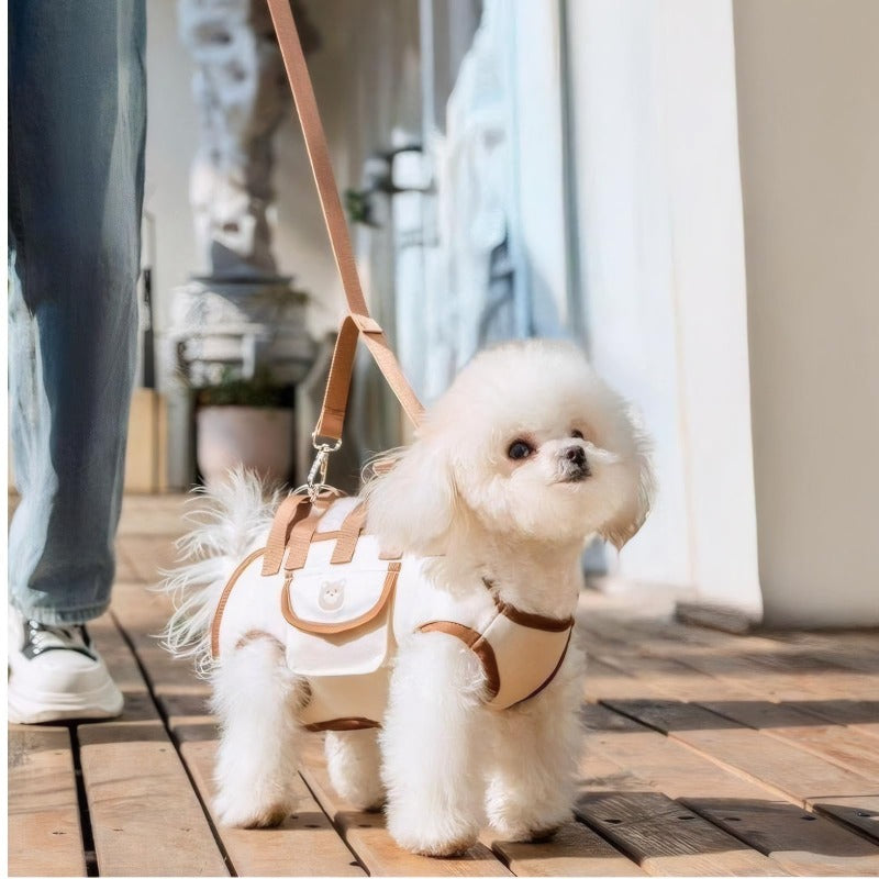 EasyGo Crossbody Pet Carrier Harness