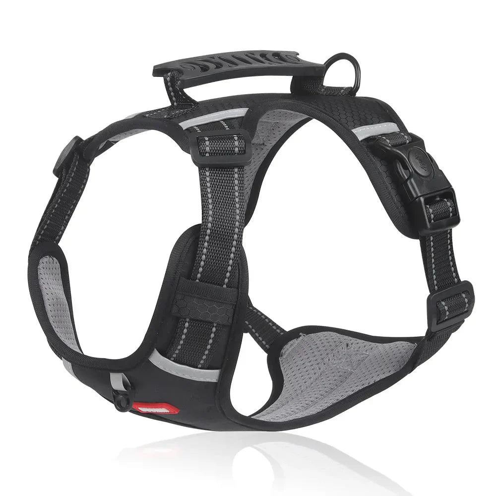 NoPull Dog Harness – WalkEase – Leashes & Harnesses