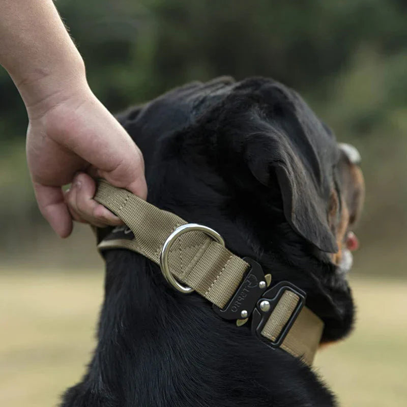 Tactical Dog Collar with Handle – GripMaster – Leashes & Harnesses