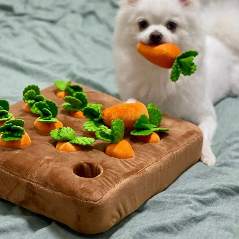 Interactive Sniffing Toy – Carrot Sniffing Garden – Dog Toys