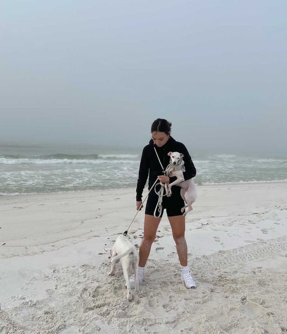 Magic Link® Accessories