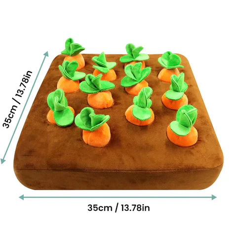 Interactive Sniffing Toy – Carrot Sniffing Garden – Dog Toys