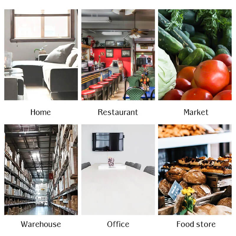 QuickCatch Automatic Mouse Trap – Personalized