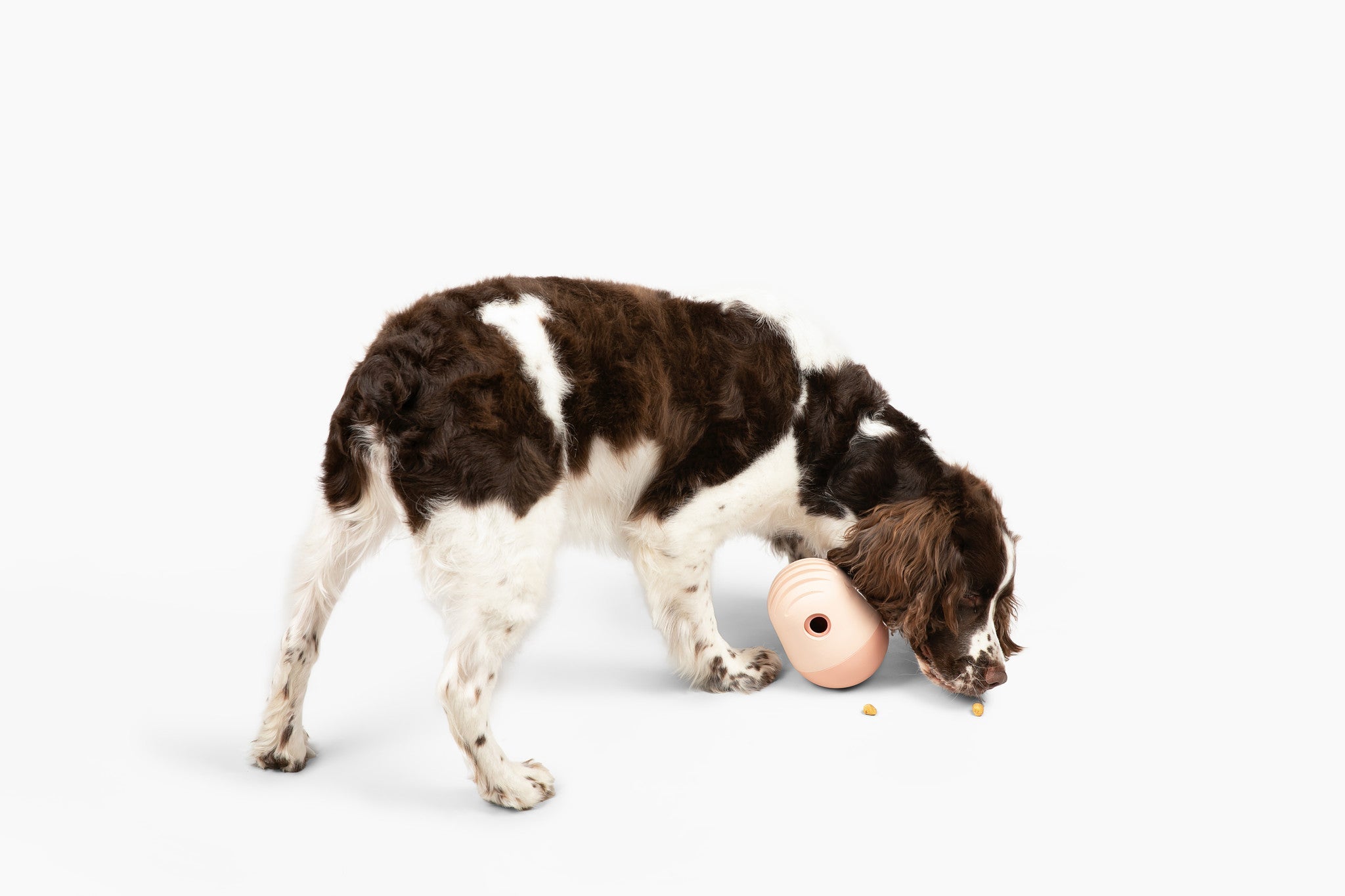 Puffin + Bites Bundle