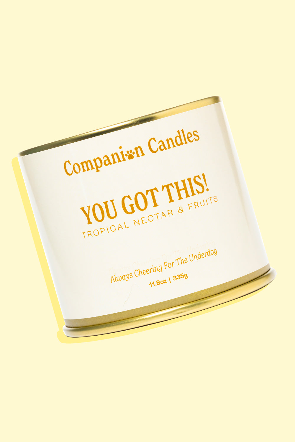 Companion Candles You Got This!