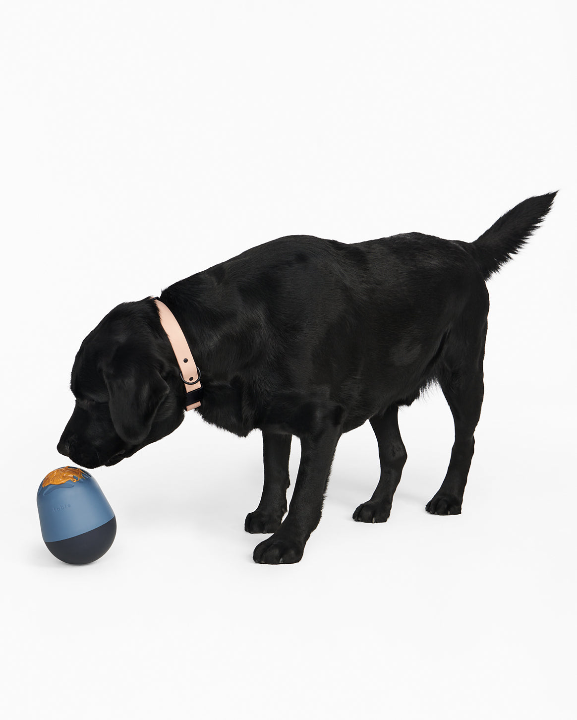 The Puffin™ Game Accessories