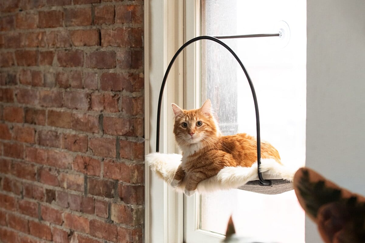 tuft + paw Cloud Nine Window Hammock – Cat Bed