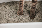 tuft + paw Cubby Litter Box