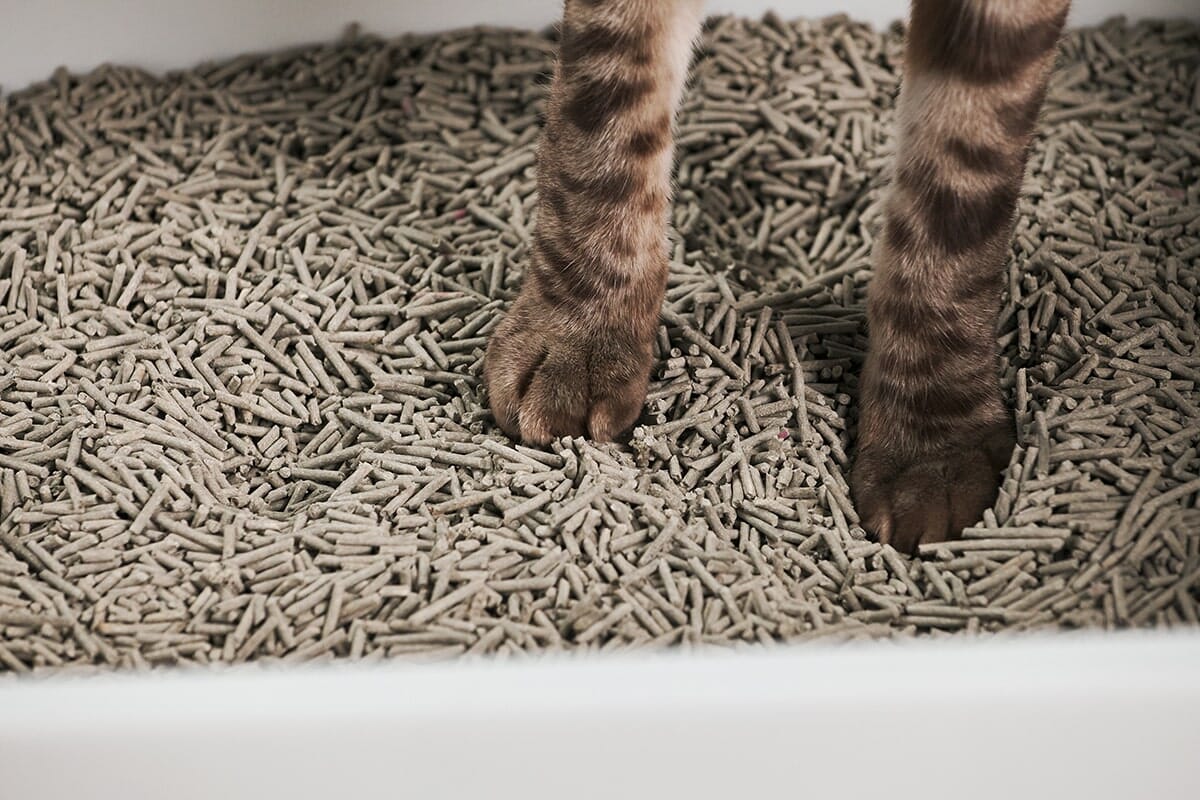 tuft + paw Cubby Litter Box
