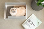 tuft + paw Cubby Litter Box