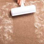 2-in-1 Pet Hair Remover - CleanSweep – Brushes