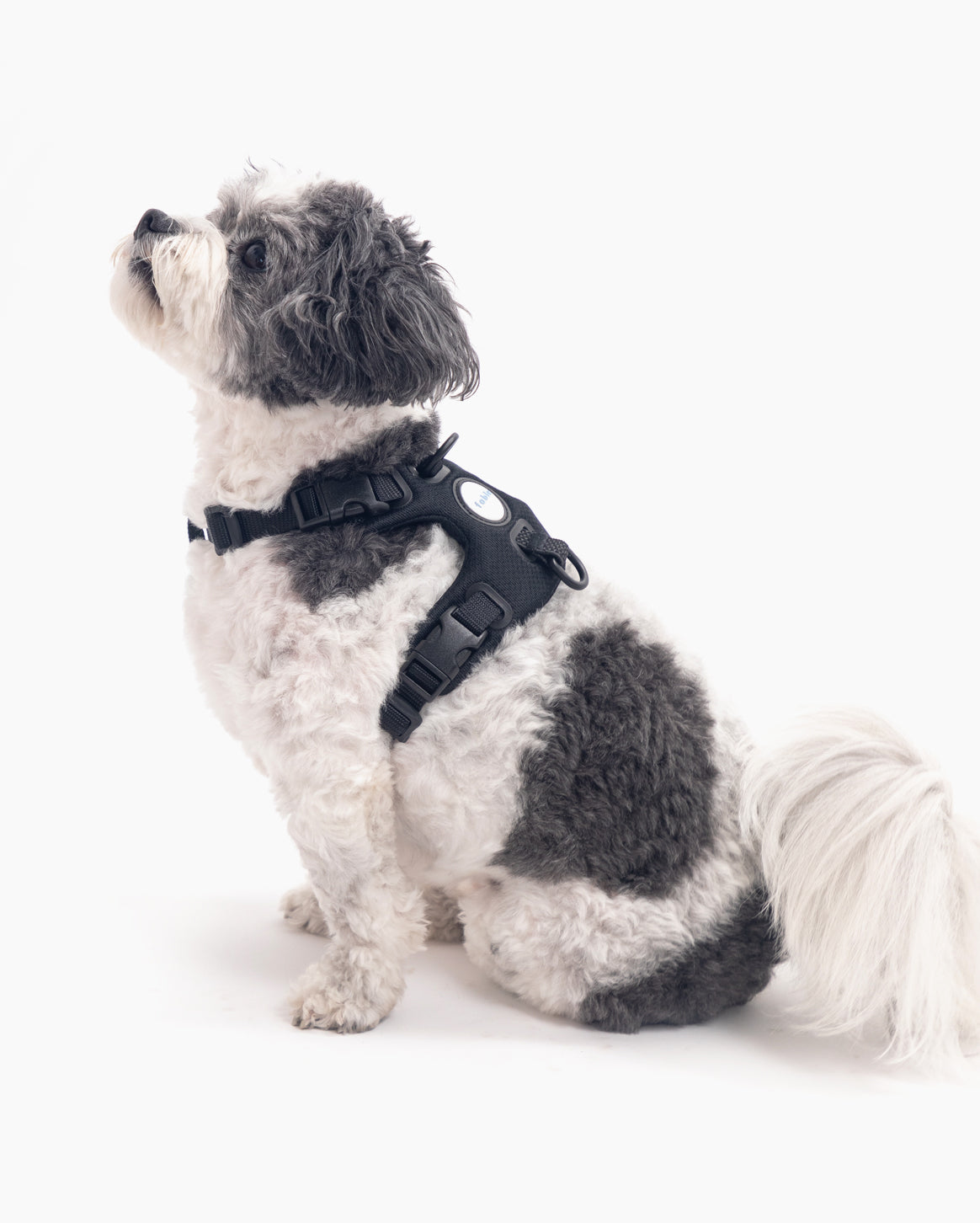 Signature Harness Accessories