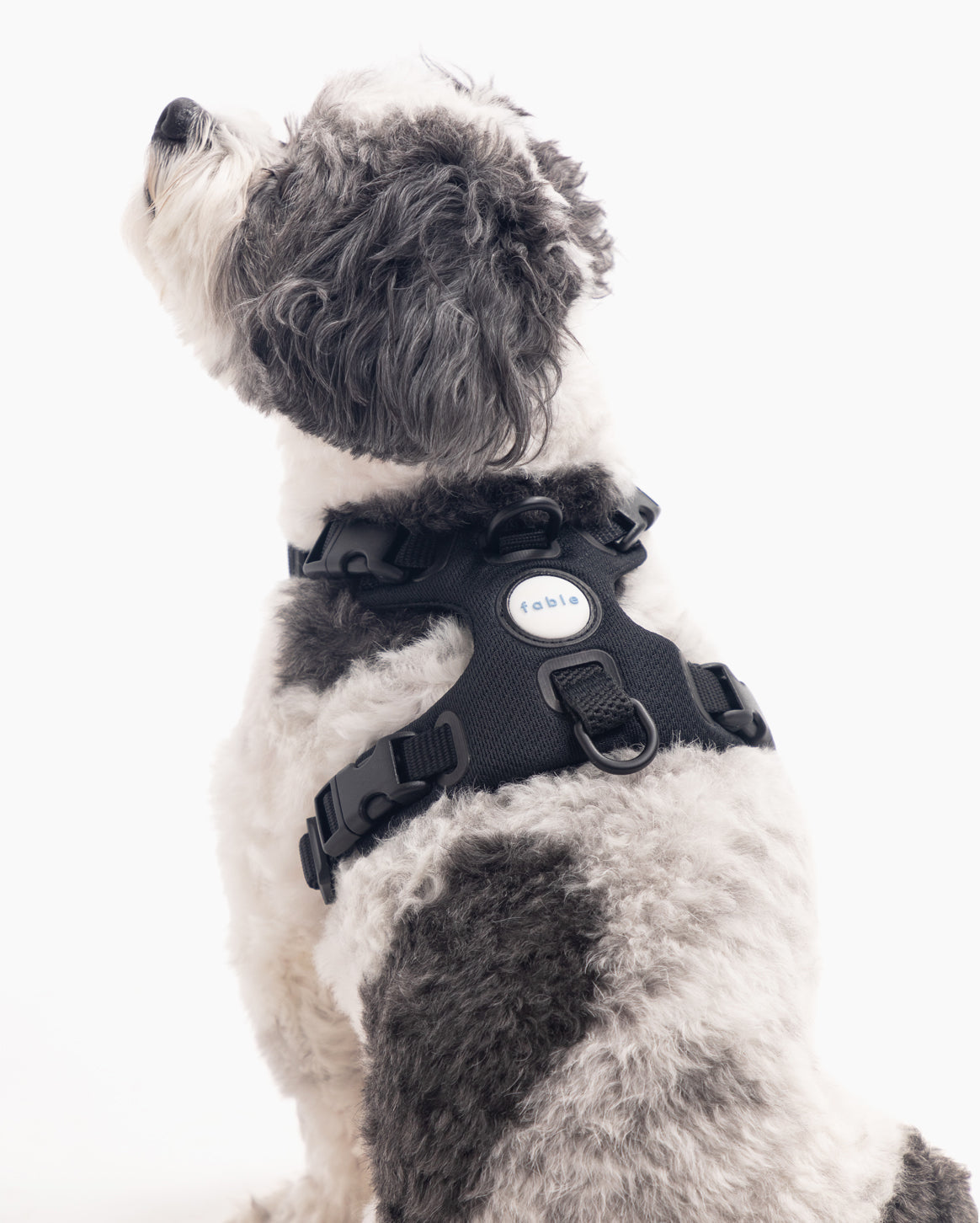 Signature Harness Accessories