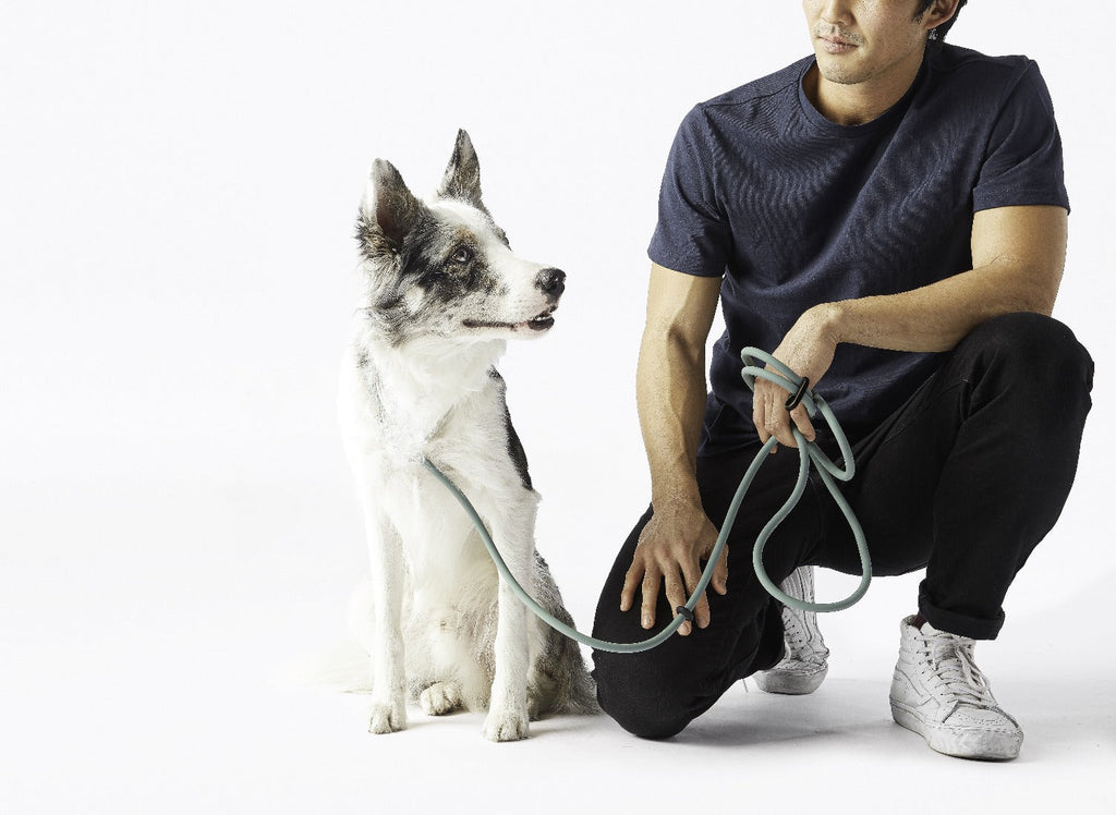 Magic Leash® Accessories