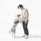 Magic Leash® Accessories