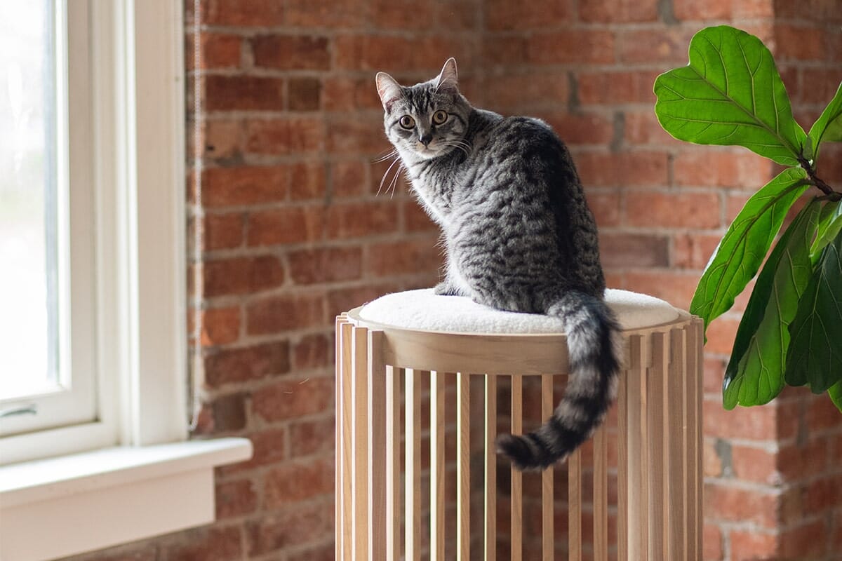 tuft + paw Grove Cat Tower – Cat Tree