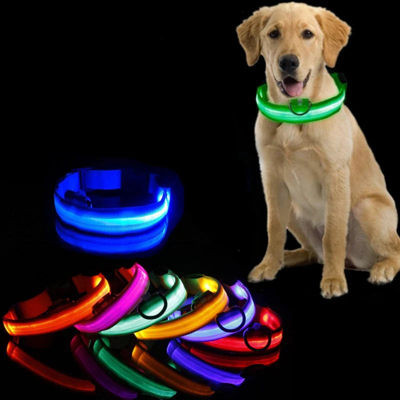 GlowCollar LED – BrightPaws – Leashes & Harnesses