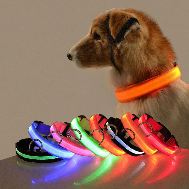 GlowCollar LED – BrightPaws – Leashes & Harnesses