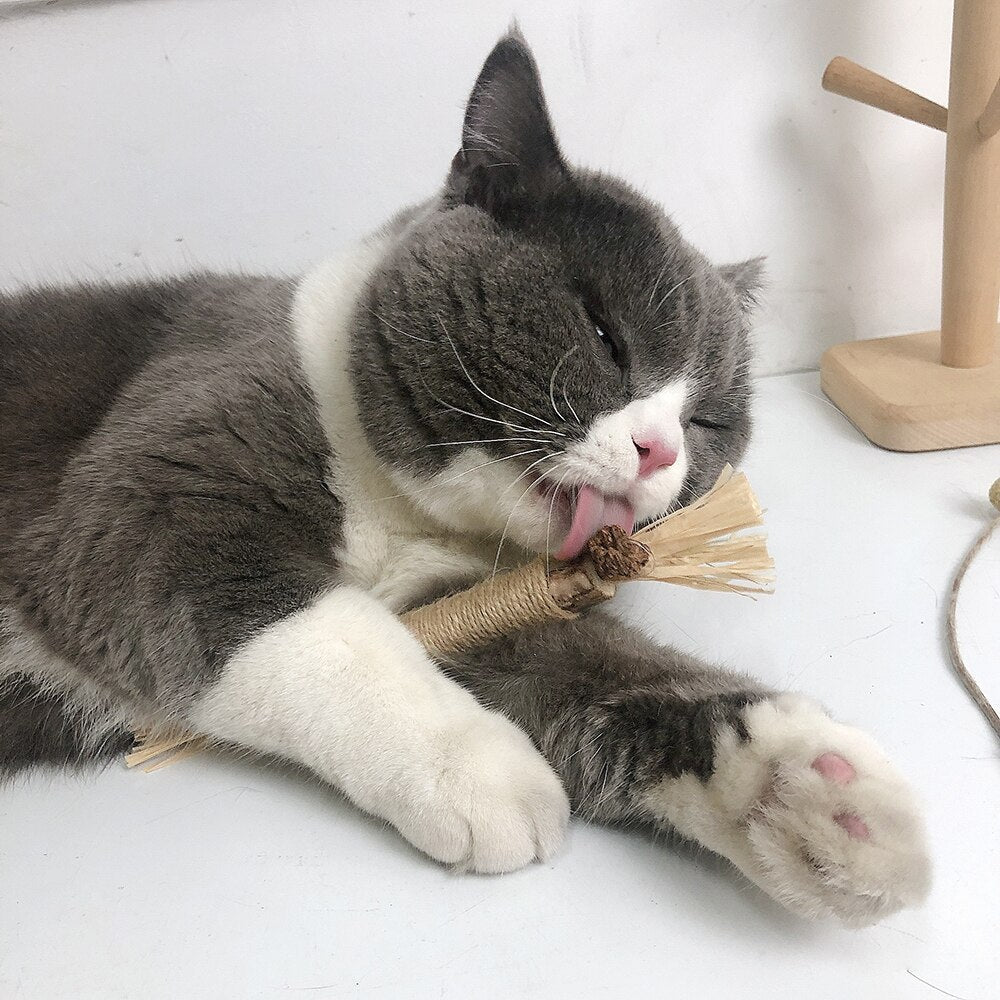 PawBite – Natural Chew Sticks for Cats – Cat Toys