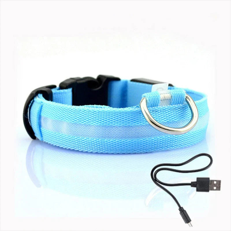 GlowCollar LED – BrightPaws – Leashes & Harnesses