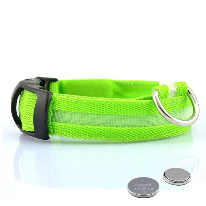 GlowCollar LED – BrightPaws – Leashes & Harnesses