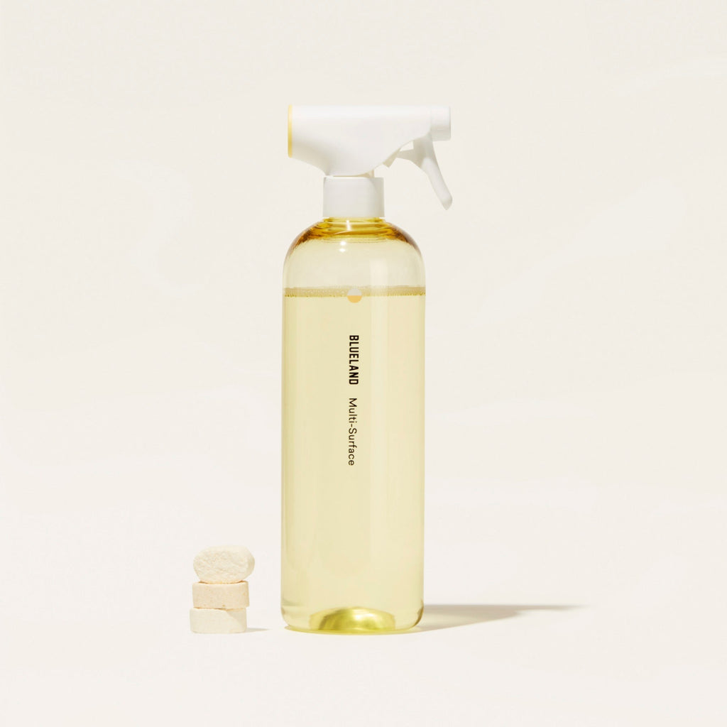 Blueland Multi-Surface Starter Set