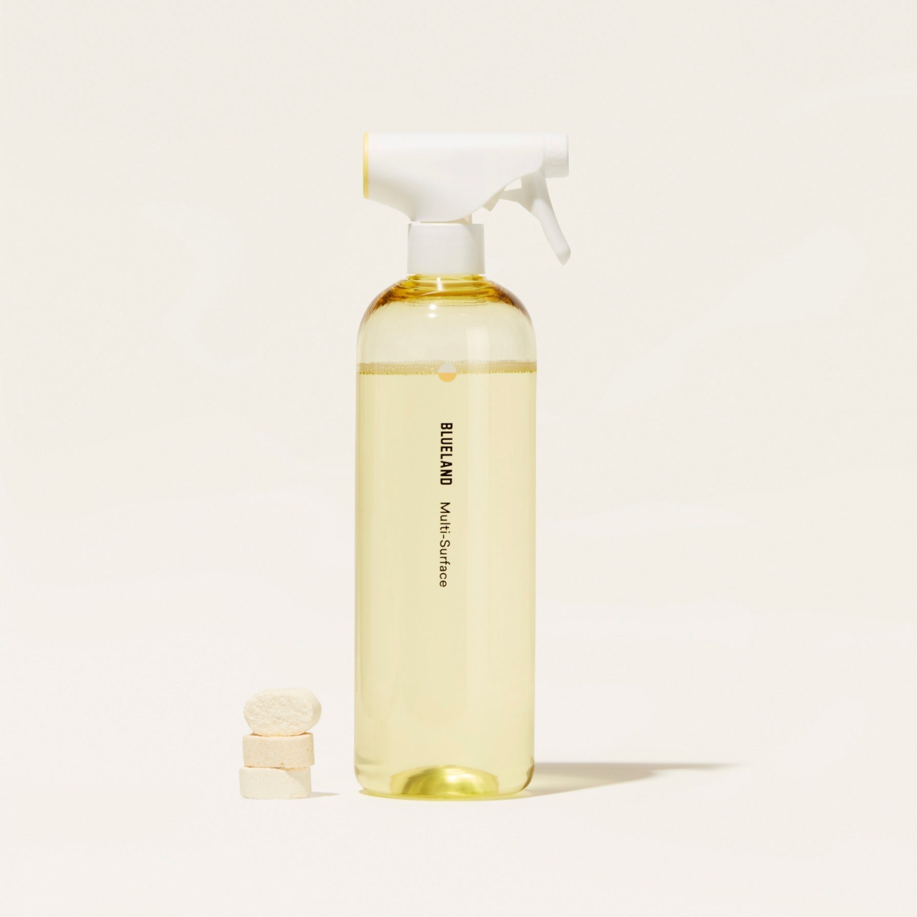 Blueland Multi-Surface Starter Set