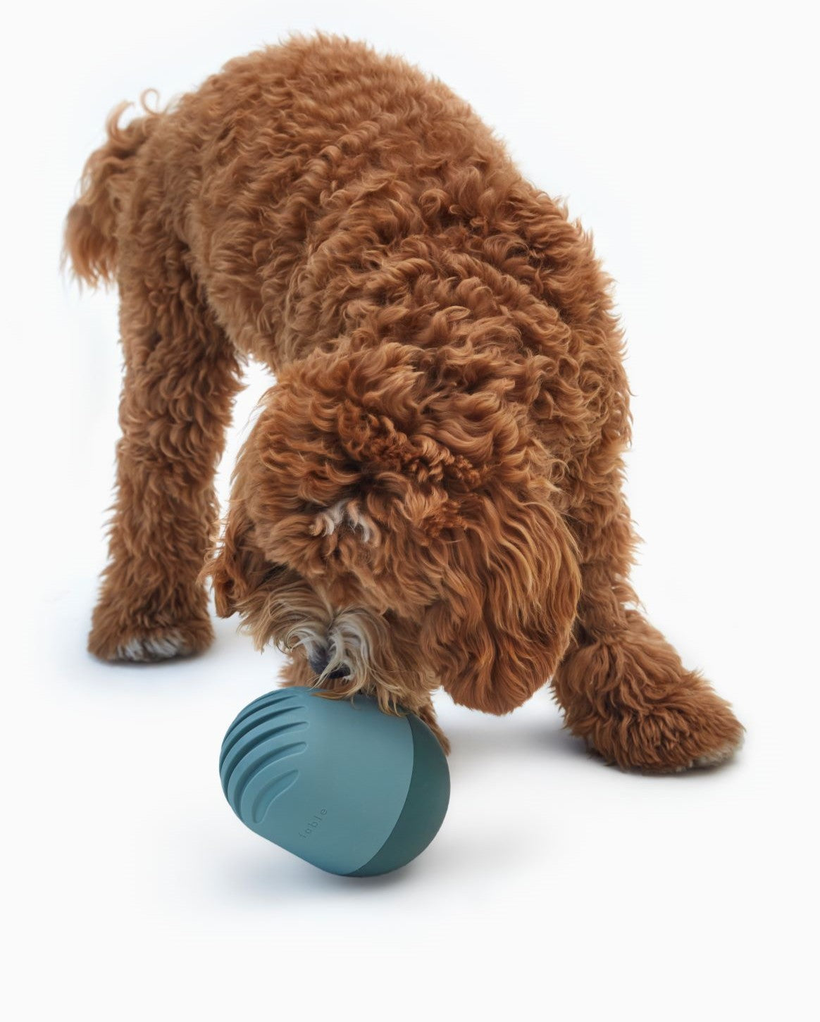 The Puffin™ Game Accessories