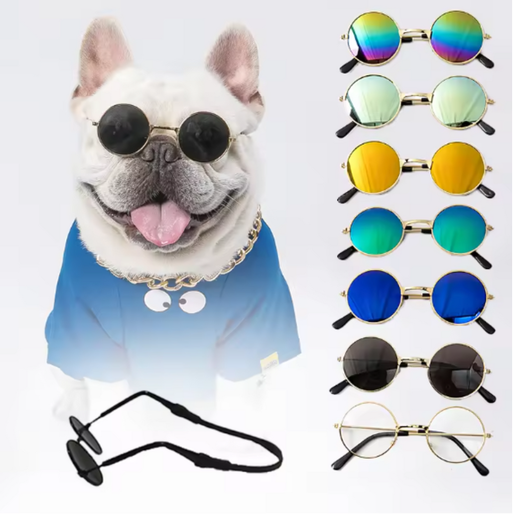 Chic Pet Sunglasses - Pawtique Shades – Care & More