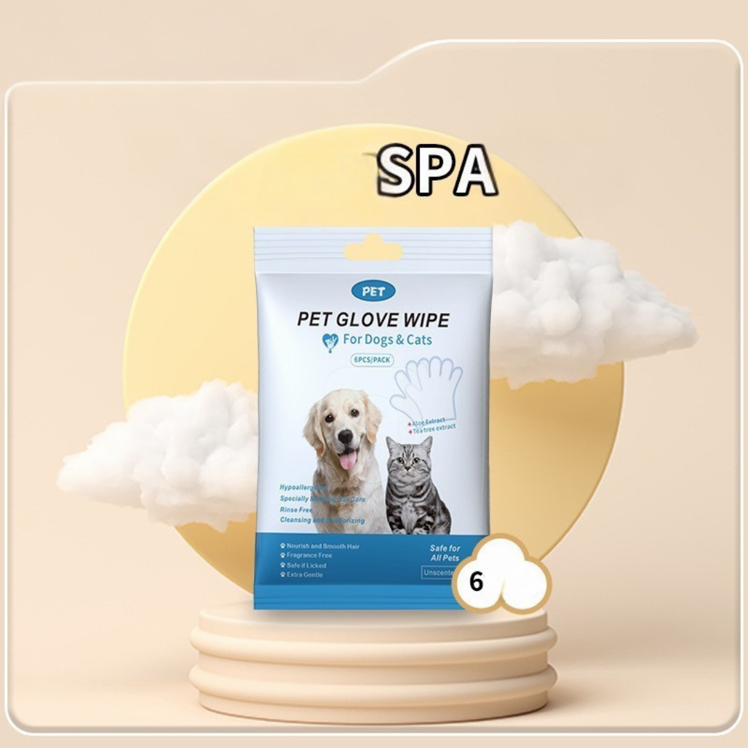 Glove cleaning wipes for pets – Care & More