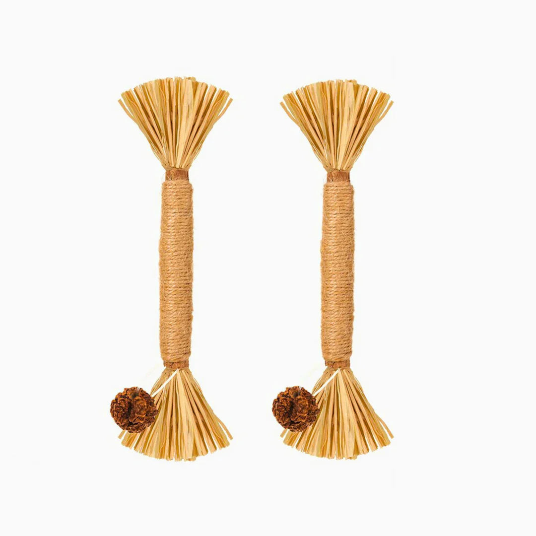 PawBite – Natural Chew Sticks for Cats – Cat Toys