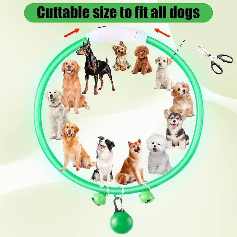 LED Dog Safety Collar