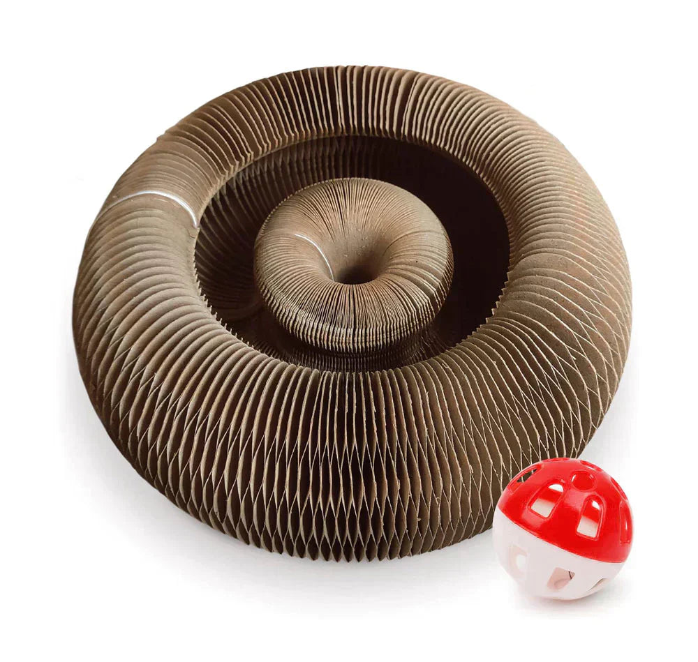 Active Fun for Your Cat – PurrPlay – Cat Toys