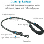 Heavy Duty Dog Leash with Shock Absorbing Bungee
